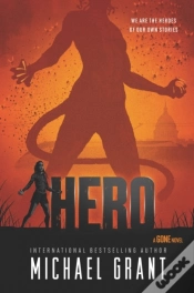 Capa do artigo Hero