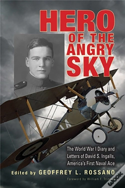 Capa do artigo Hero Of The Angry Sky