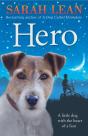 Hero - Preview