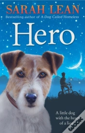 Capa do artigo Hero