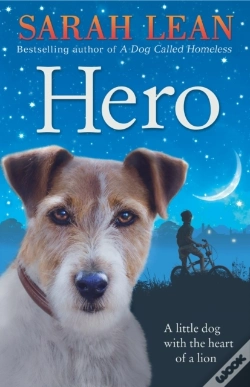 Capa do artigo Hero