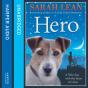 Hero - Preview