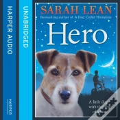 Capa do artigo Hero