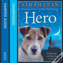 Capa do artigo Hero