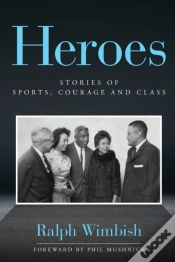 Capa do artigo Heroes