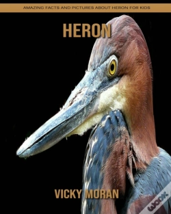 Capa do artigo Heron