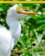 Heron - Preview