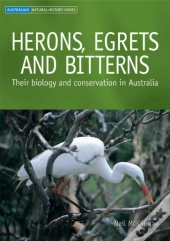 Herons, Egrets And Bitterns