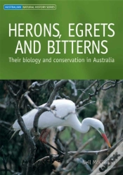 Capa do artigo Herons, Egrets And Bitterns