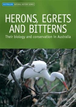 Capa do artigo Herons, Egrets And Bitterns