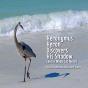 Heronymus Heron Discovers His Shadow:  A - Preview