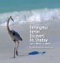 Heronymus Heron Discovers His Shadow  An - Preview