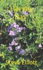 Hervey Bay - Preview