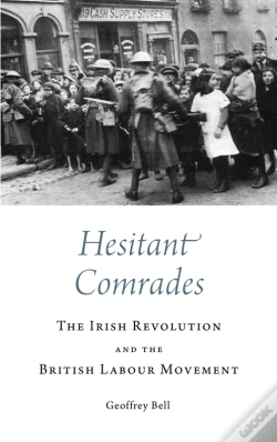Capa do artigo Hesitant Comrades