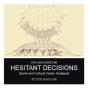Hesitant Decisions - Preview