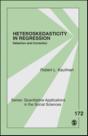 Heteroskedasticity In Regression - Preview