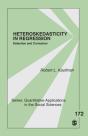 Heteroskedasticity In Regression - Preview