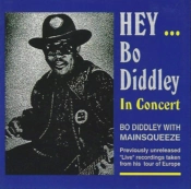 Capa do artigo Hey... Bo Diddley - CD