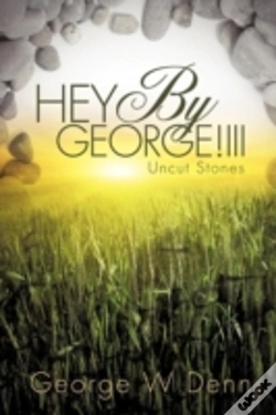 Capa do artigo Hey By George!Iii