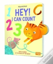 Capa do artigo Hey! I Can Count