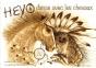 Heyo Danse Avec Les Chevaux - Preview