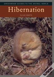 Capa do artigo Hibernation