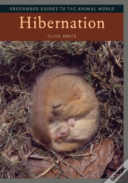Capa do artigo Hibernation