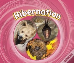 Capa do artigo Hibernation