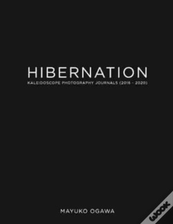 Capa do artigo Hibernation
