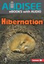 Hibernation - Preview