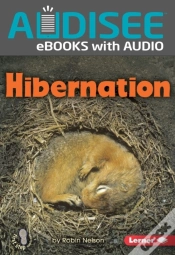 Capa do artigo Hibernation
