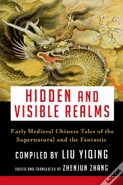 Capa do artigo Hidden And Visible Realms