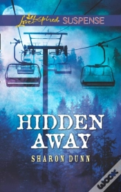 Capa do artigo Hidden Away