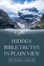Hidden Bible Truths In Plain View - Preview