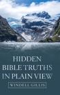 Hidden Bible Truths In Plain View - Preview