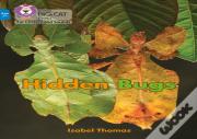 Hidden Bugs