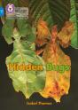 Hidden Bugs - Preview