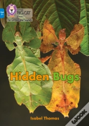 Capa do artigo Hidden Bugs