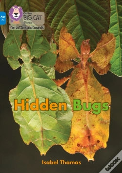 Capa do artigo Hidden Bugs