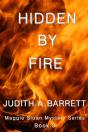 Hidden By Fire - Preview