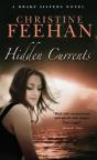 Hidden Currents - Preview