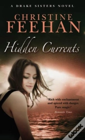 Capa do artigo Hidden Currents