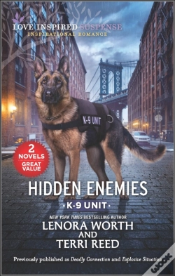 Capa do artigo Hidden Enemies