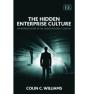 HIDDEN ENTERPRISE CULTURE - Preview