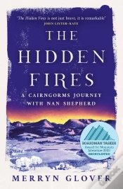 Capa do artigo Hidden Fires