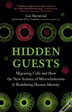 Capa do artigo Hidden Guests