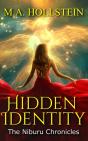 Hidden Identity - Preview