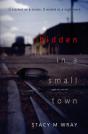 Hidden In A Small Town - Preview