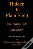Hidden In Plain Sight