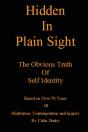 Hidden In Plain Sight - Preview
